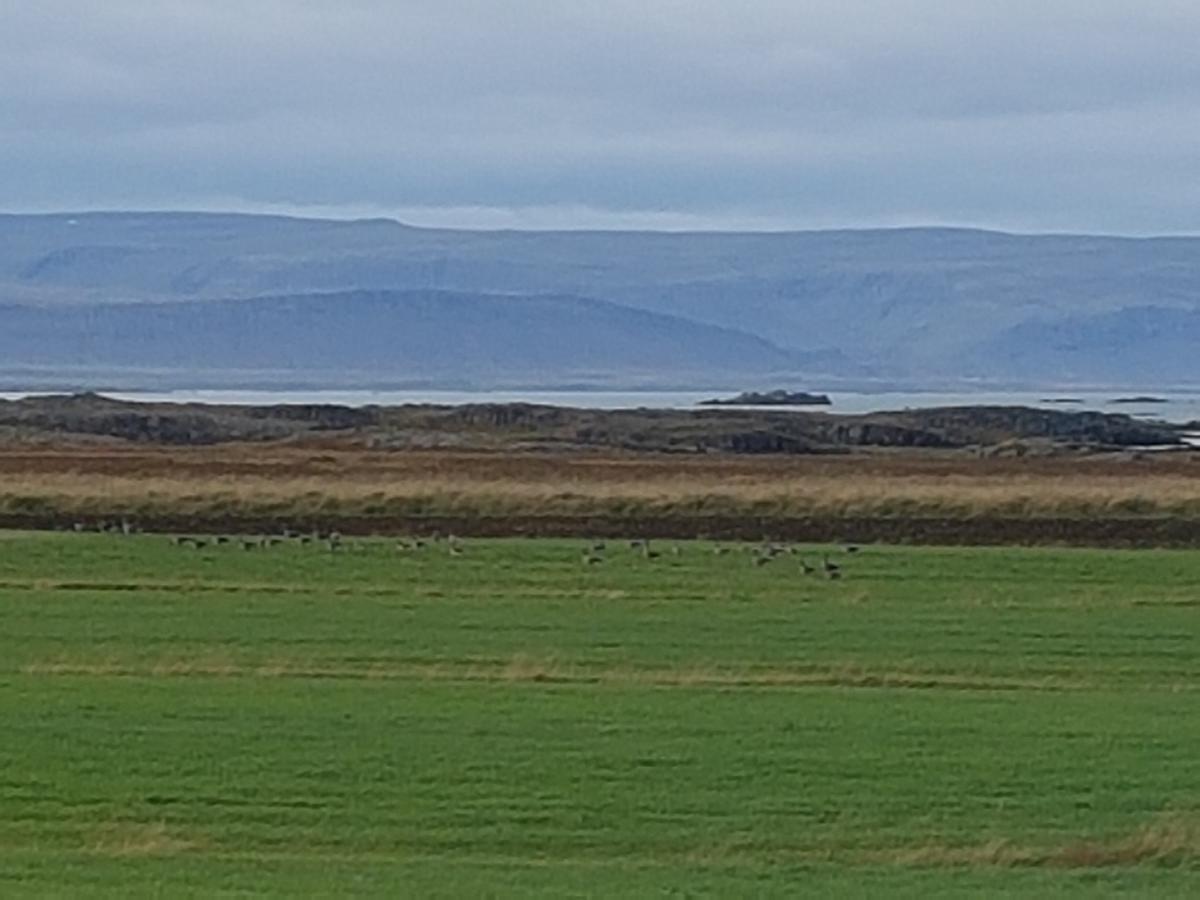 Mithjanes Reykholahrepp Guest House เรย์โคลาร์ ภายนอก รูปภาพ